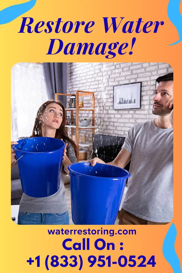 water restoration Reliable Cleanup Network Eagleville